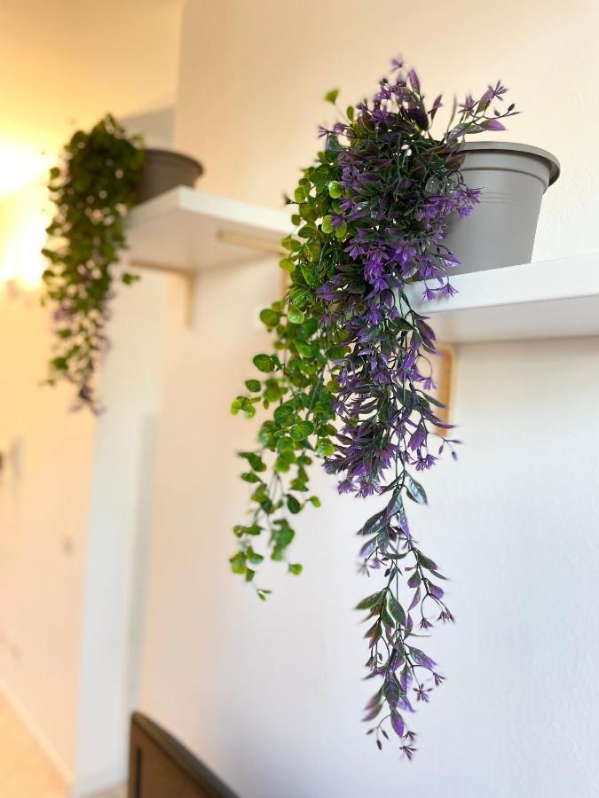 Casa Paradiso: Un'Oasi Di Relax ชินิเซลโลบาลซาโม ภายนอก รูปภาพ
